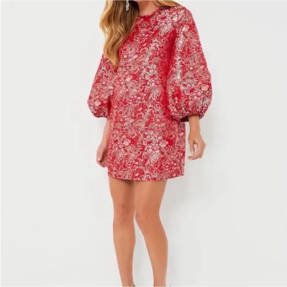 Hyacinth House Red Jacquard Janie Mini Dress ballon Sleeve NWT large - Picture 3 of 12